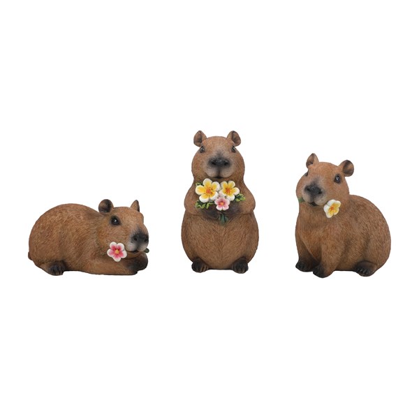 Capybara Floral 7cm 3 Assorted Capybara Floral 7cm 3 Assorted