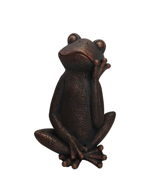 Frog Pondering 27 x 40cm Frog Pondering 27 x 40cm