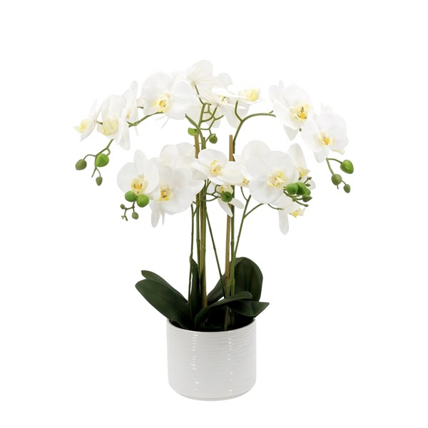 White Orchid Round Pot 56cm White Orchid Round Pot 56cm