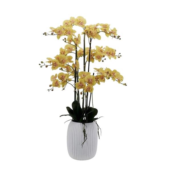 Yellow Orchid Tapered Pot 122cm Yellow Orchid Tapered Pot 122cm