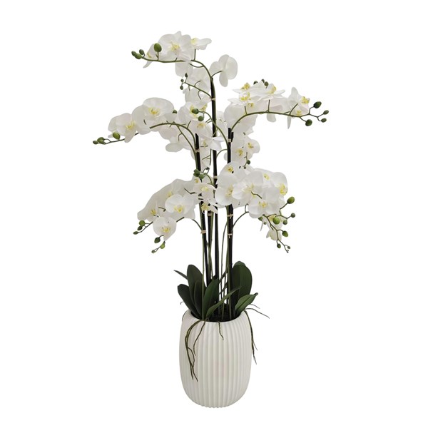 White Orchid Tapered Pot 122cm White Orchid Tapered Pot 122cm