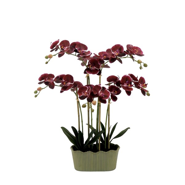Purple Orchid Bowl 66cm Purple Orchid Bowl 66cm