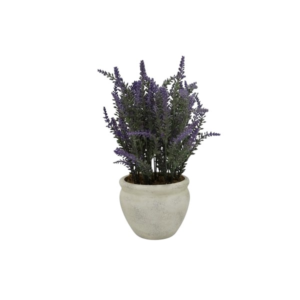 Oval Potted Lavender 36cm Oval Potted Lavender 36cm