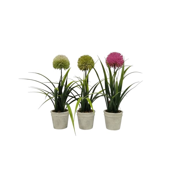 Allium Pot 44cm 3 Assorted Allium Pot 44cm 3 Assorted