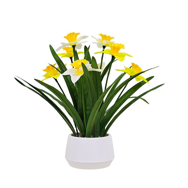 Daffodil Pot 32cm Daffodil Pot 32cm