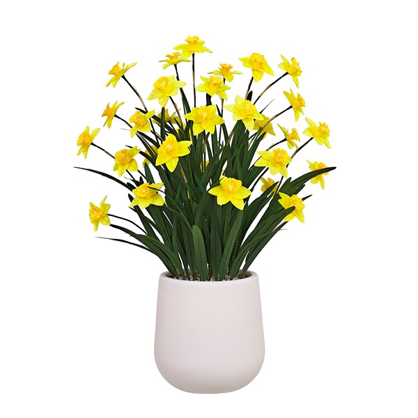 Daffodil Pot 81cm Daffodil Pot 81cm