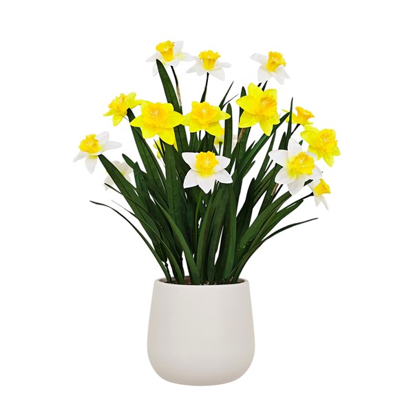 Daffodil Pot 61cm Daffodil Pot 61cm
