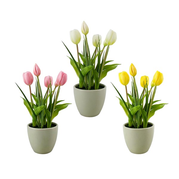Tulips Ceramic Pot 34cm 2 Assorted Tulips Ceramic Pot 34cm 2 Assorted