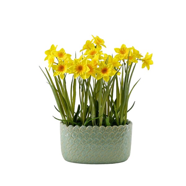 Daffodil Planter 24 x 33cm Daffodil Planter 24 x 33cm