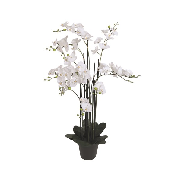 White Orchid in Black Pot 115cm White Orchid in Black Pot 115cm