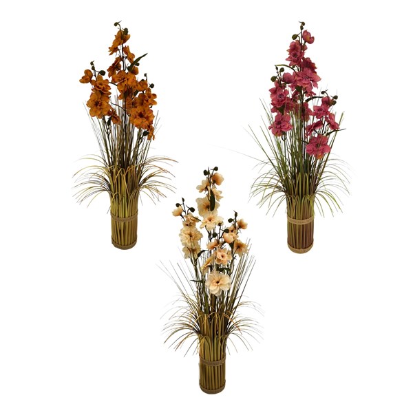 Delphinium Grass Bundles 65cm 3 Assorted Delphinium Grass Bundles 65cm 3 Assorted