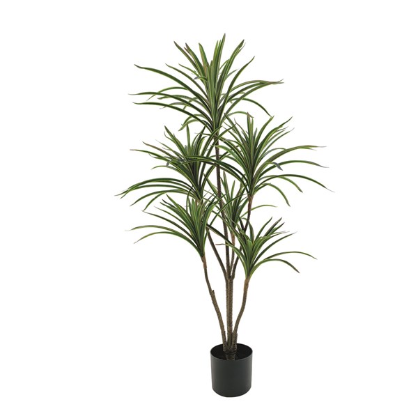 Dracaena Artificial Plant in Weighted Black Pot 120cm Dracaena Artificial Plant in Weighted Black Pot 120cm