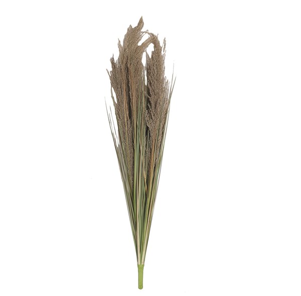 Feathery Pampas Grass Stem 120cm Feathery Pampas Grass Stem 120cm