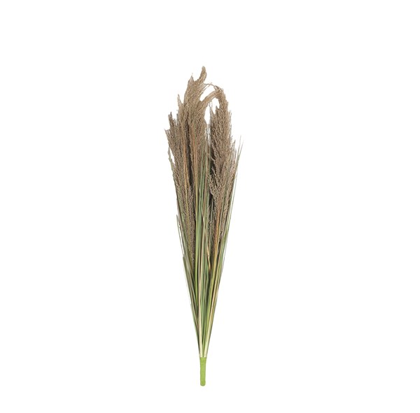 Feathery Pampas Grass Stem 99cm Feathery Pampas Grass Stem 99cm