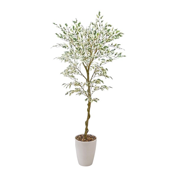 Ficus Tree 130cm Ficus Tree 130cm
