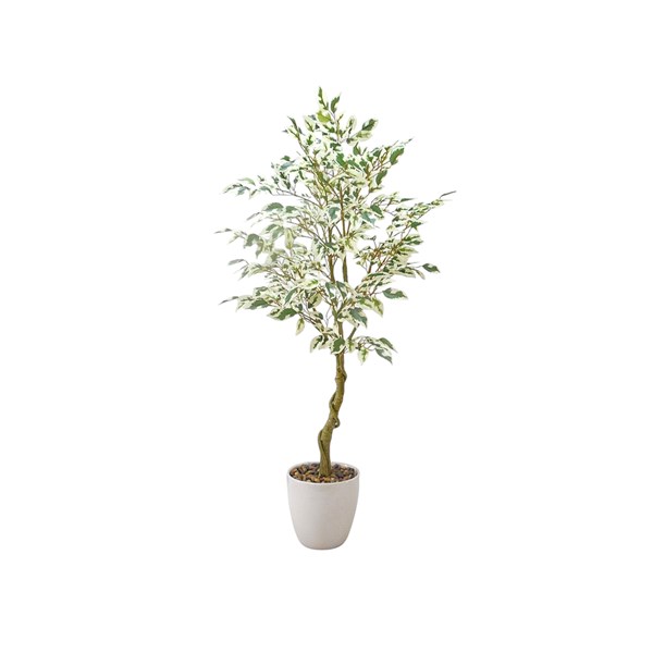 Ficus Tree 89cm