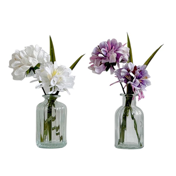 Floral Display Jar 21cm 2 Asst