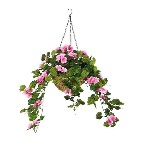 Geranium Hanging Basket Pink 80cm Geranium Hanging Basket Pink 80cm