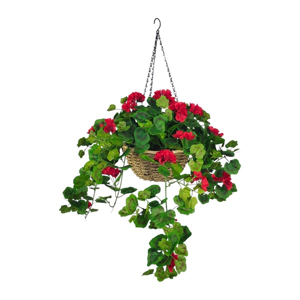 Geranium Hg Basket Red 80cm