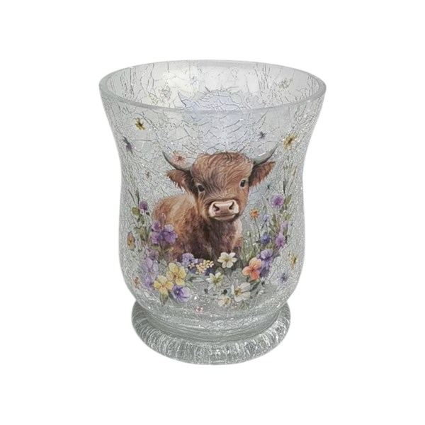 Highland Cow Hurricane 11cm Highland Cow Hurricane 11cm