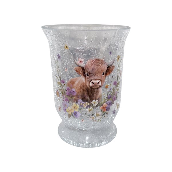 Highland Cow Hurricane 15cm Highland Cow Hurricane 15cm