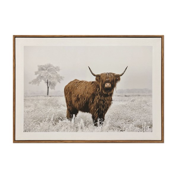 Highland Cow Print 50x70cm Highland Cow Print 50x70cm