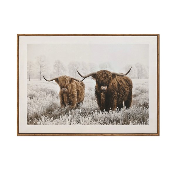 Highland Cow Print 50x70cm Highland Cow Print 50x70cm