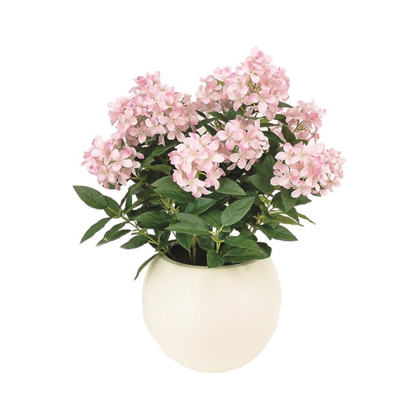Hydrangea Pot 71cm Pink Hydrangea Pot 71cm Pink