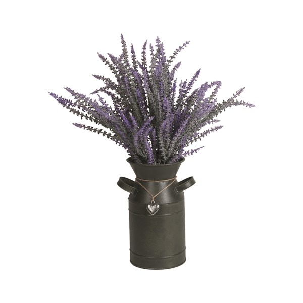 Lavender in Metal Milk Churn Plant Pot 44cm Lavender in Metal Milk Churn Plant Pot 44cm