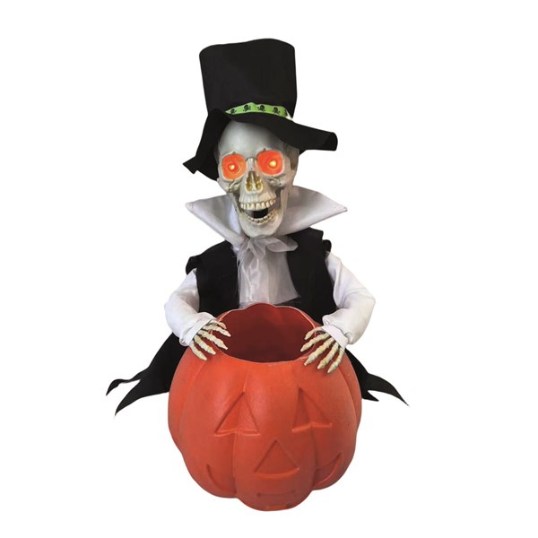 LED Animated Groom Bowl 25cm LED Animated Groom Bowl 25cm