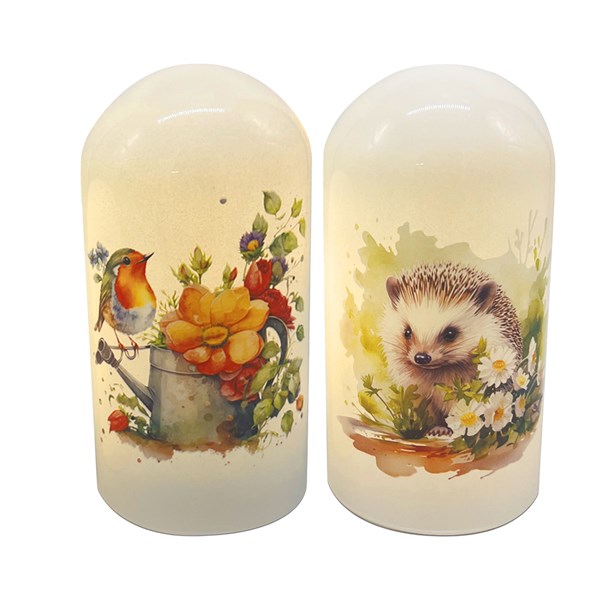 LED Robin Hedgehog Dome 20cm 2 Assorted