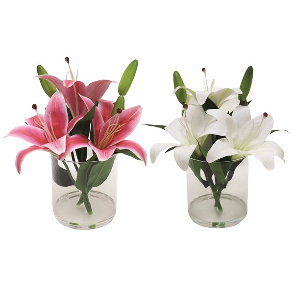 Lily Vase 20x23cm 2 Assorted Lily Vase 20x23cm 2 Assorted