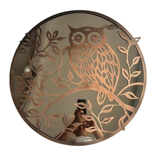 Owl Mirror Bronze 60cm