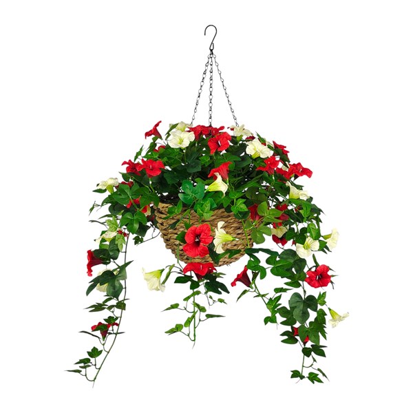 Petunia Hanging Basket Red/White 85cm Petunia Hanging Basket Red/White 85cm