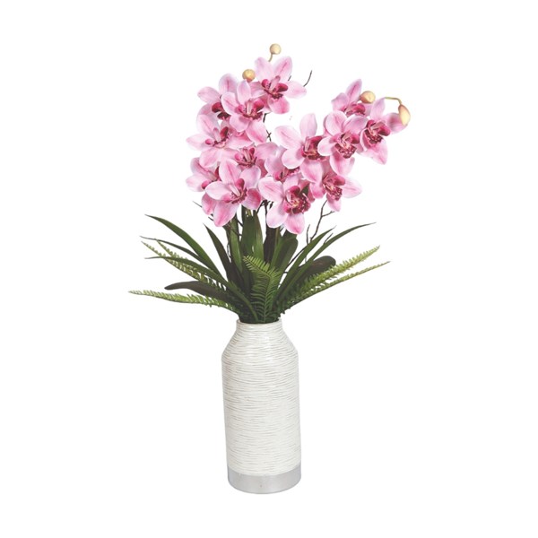 Pink Cymbidium 90cm Pink Cymbidium 90cm