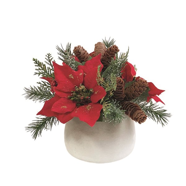 Poinsettia Floral Pot 20cm