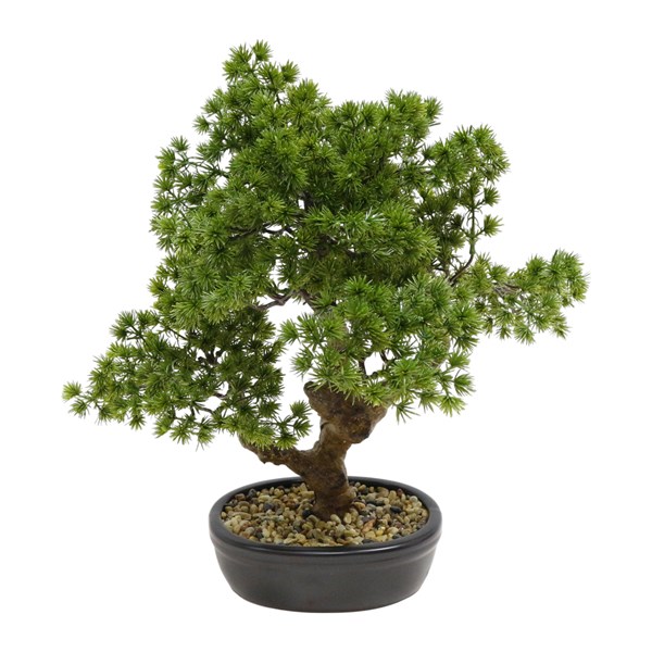 Potted Bonsai 43cm