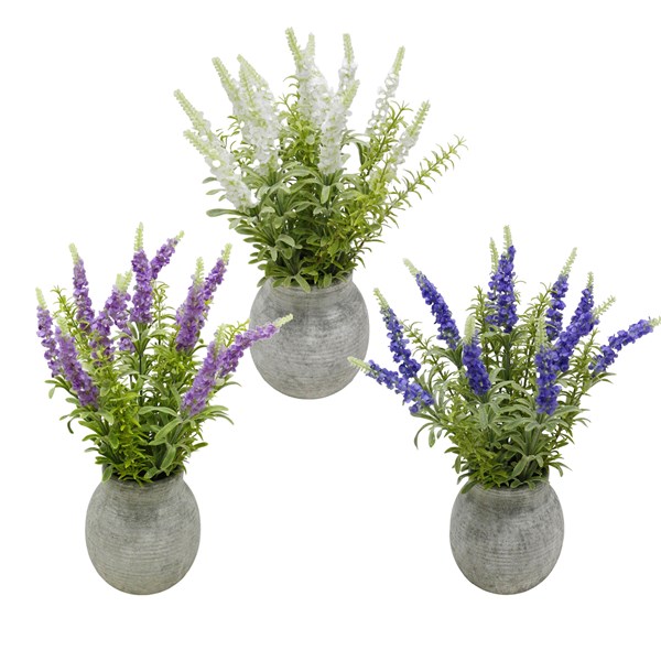 Potted Lavender 43cm 3 Asst