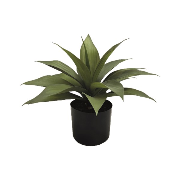 Potted Palm Plant 30cm Potted Palm Plant 30cm