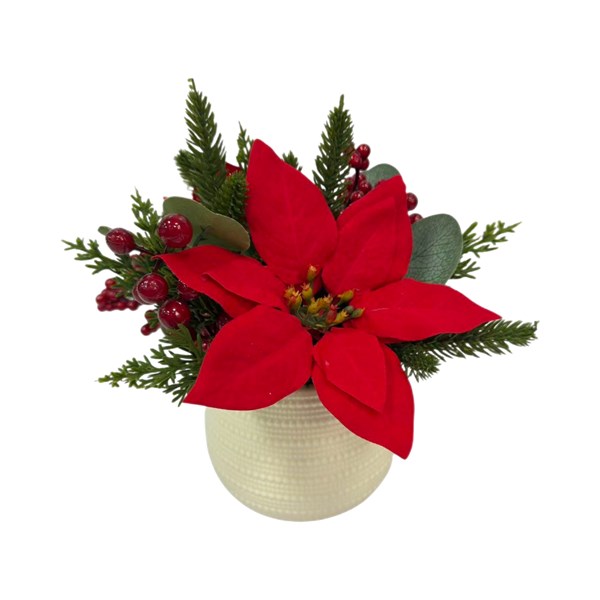 Potted Red Poinsettia 24cm Potted Red Poinsettia 24cm
