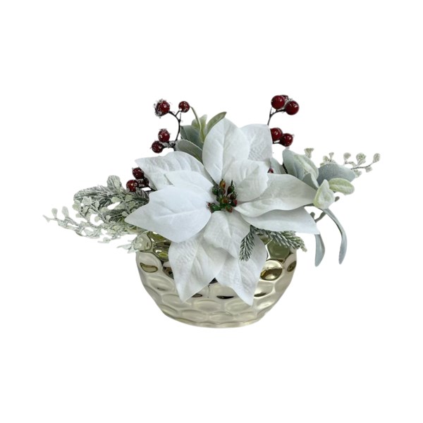 Potted White Poinsettia 28cm Potted White Poinsettia 28cm