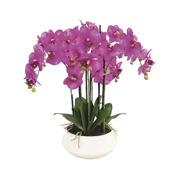 Purple Orchid Ceramic Pot 63.5cm Purple Orchid Ceramic Pot 63.5cm