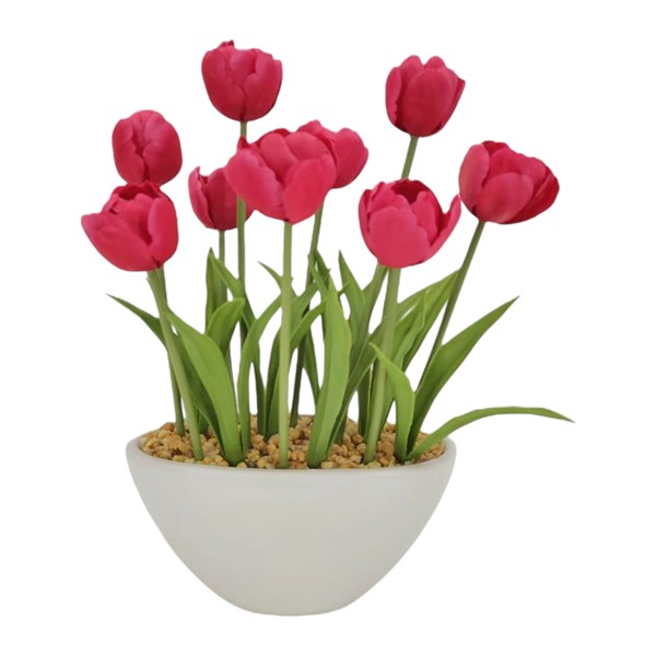 Red Tulip Pot 33cm