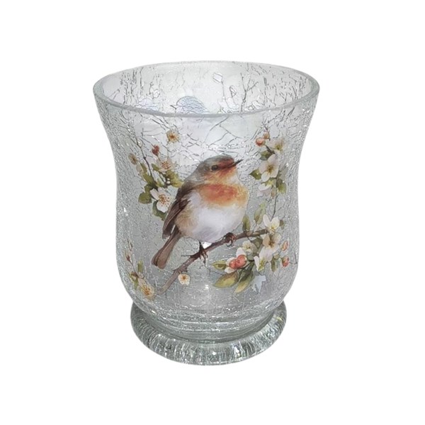 Robin Hurricane 11cm Robin Hurricane 11cm