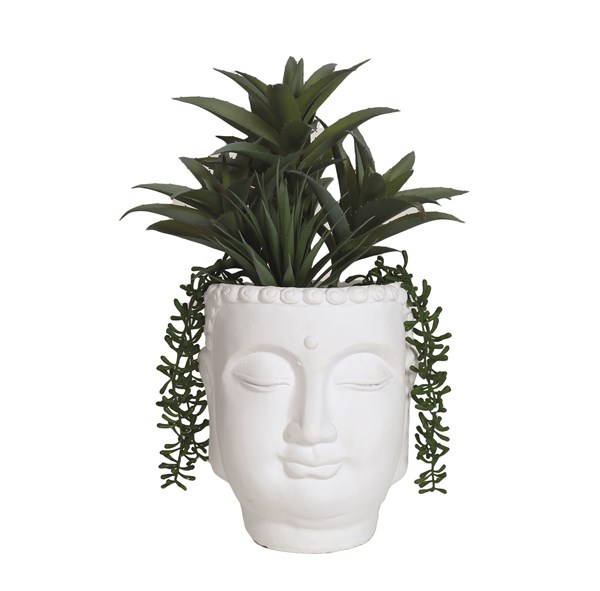 Succulent Arrangement in Buddha Head Pot 37cm Succulent Arrangement in Buddha Head Pot 37cm