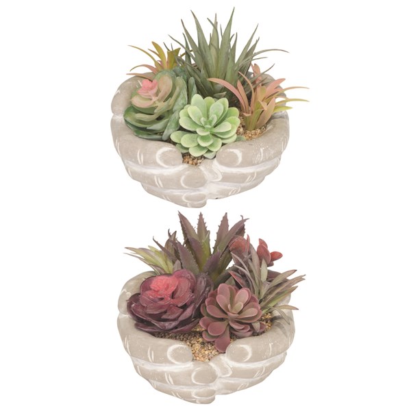 Succulent Arrangement in Hands Pot 15.5cm 2 Assorted Succulent Arrangement in Hands Pot 15.5cm 2 Assorted
