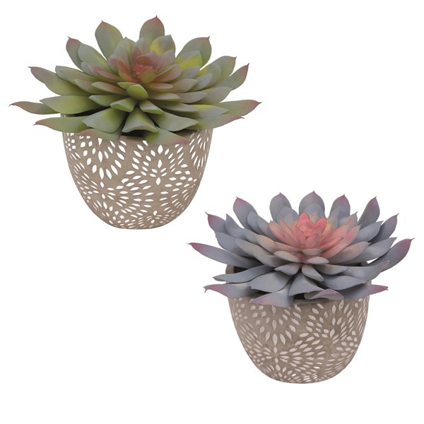 Succulent Pot 13cm 2 Assorted Succulent Pot 13cm 2 Assorted
