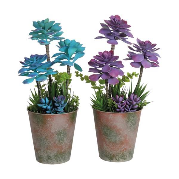 Succulent Purple and Blue 38cm 2 Assorted Succulent Purple and Blue 38cm 2 Assorted