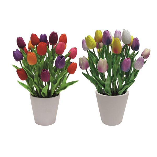 Tulip In Pot 28x38cm 2 Asst