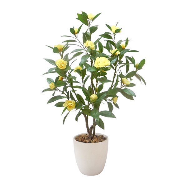 Yellow Camelia 69cm
